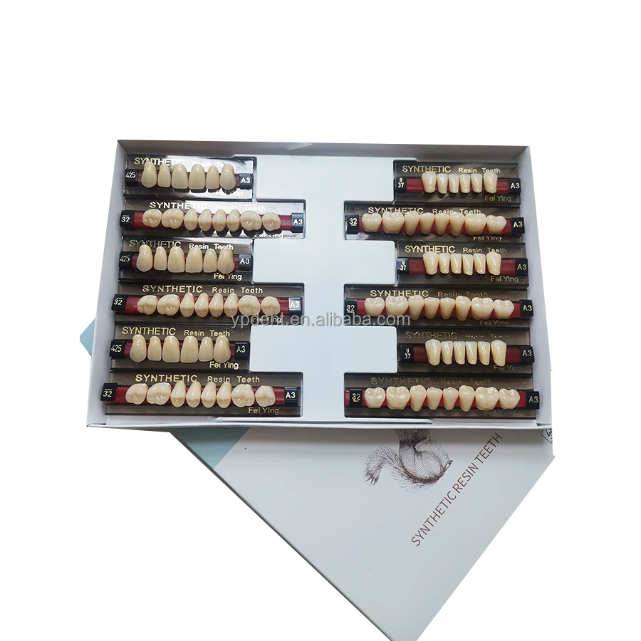 YP 2  Layer Acrylic Resin Teeth Full Set False Teeth Dentures Dental Resin Teeth
