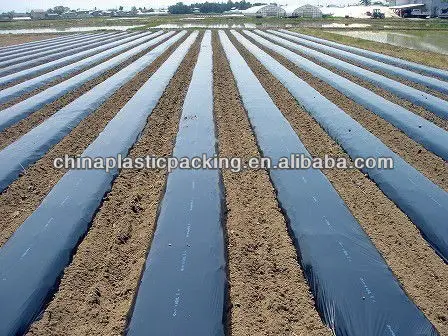 
PE ldpe agriculture black mulching plastic film 
