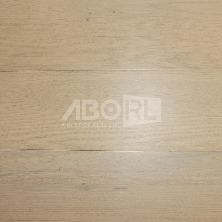 New Style AC4 German Technology 12mm HDF laminated flooring for living room