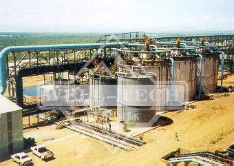 Small scale CIP  gold processing plant