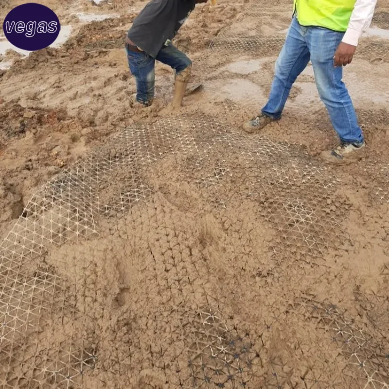 Plastic Geo Grids price PP Biaxial triaxial Geogrid for Stabilisation