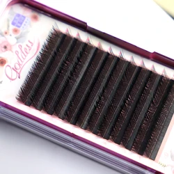 Hot Selling Y Shape Eyelash Extension Length C D Curling Extension Eyelash Vendor Mixed Makeup Korean Pbt OEM ODM Natural Black