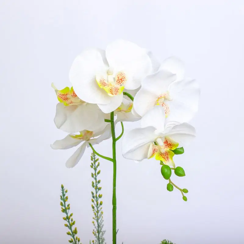 High Quality Neally Natural Orchid Phalaenopsis Flower In White silk Vase Artificial Orchids
