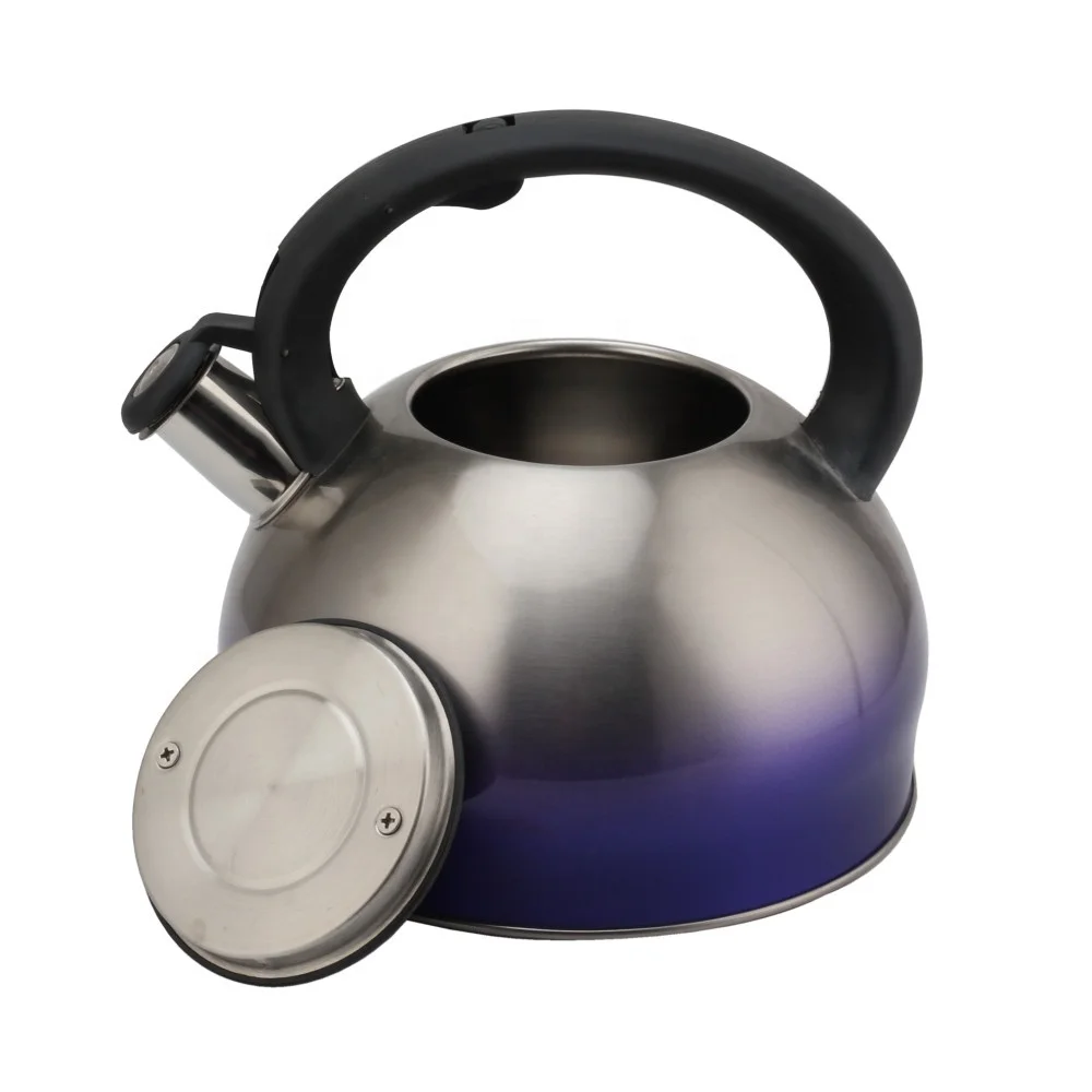 Stainless Steel Tea Kettle Small Tea Pots 2.6 Quart, Whistling Tea Kettle for Stove Top