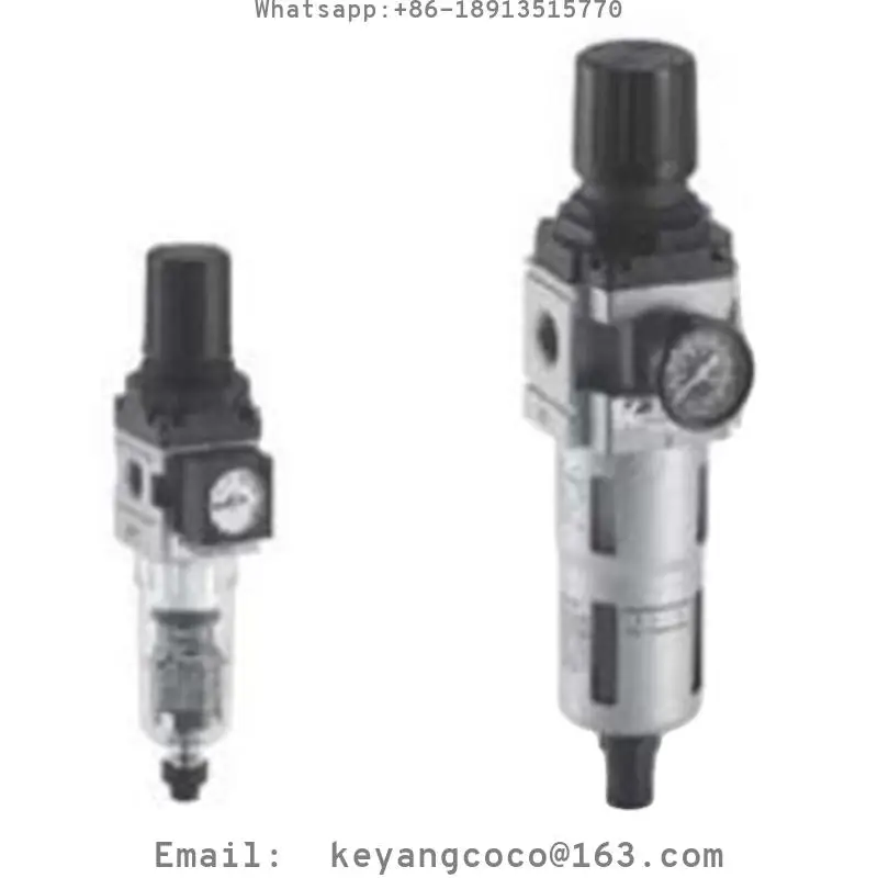 PNEUMAN The Filter PAFF550-10-B PW2000-02 PW3000-03