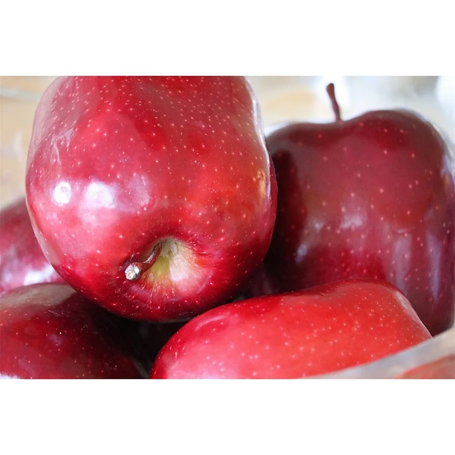 
China Supplier Wholesale Crisp Apple for Apples In Fruits Fresh 