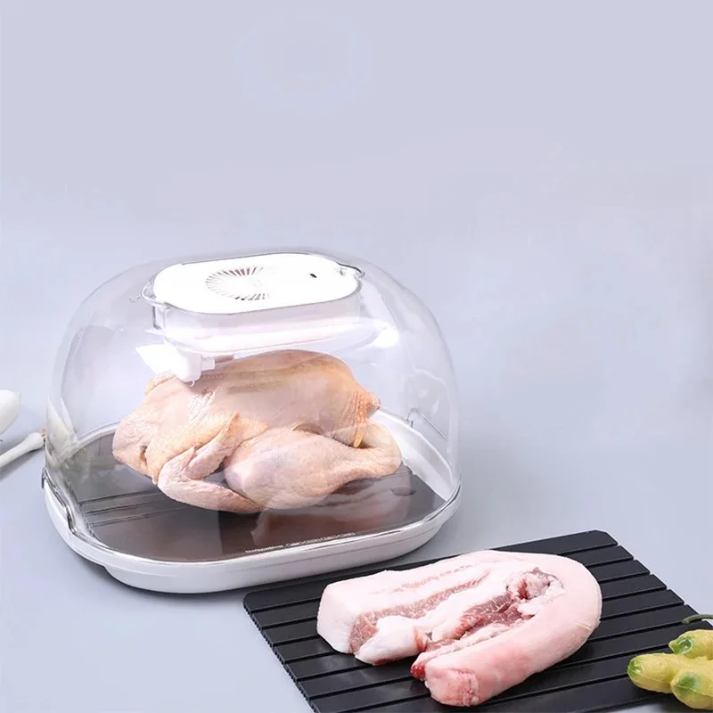 2023 Hot Selling 2 in 1 Defrosting Tray Thawing Household Defrosting Box for Frozen Meat, Chicken, Fish, Steak