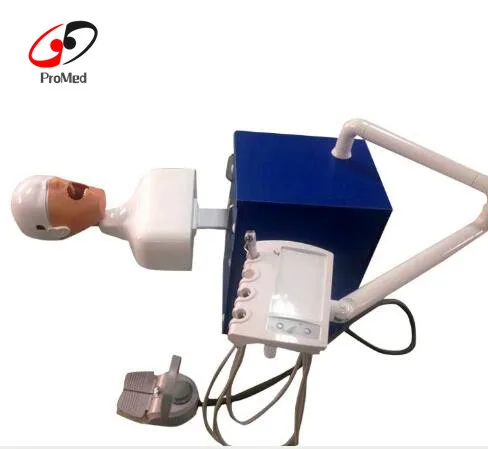 Electric oral training simulation manikin system (test desk optional)