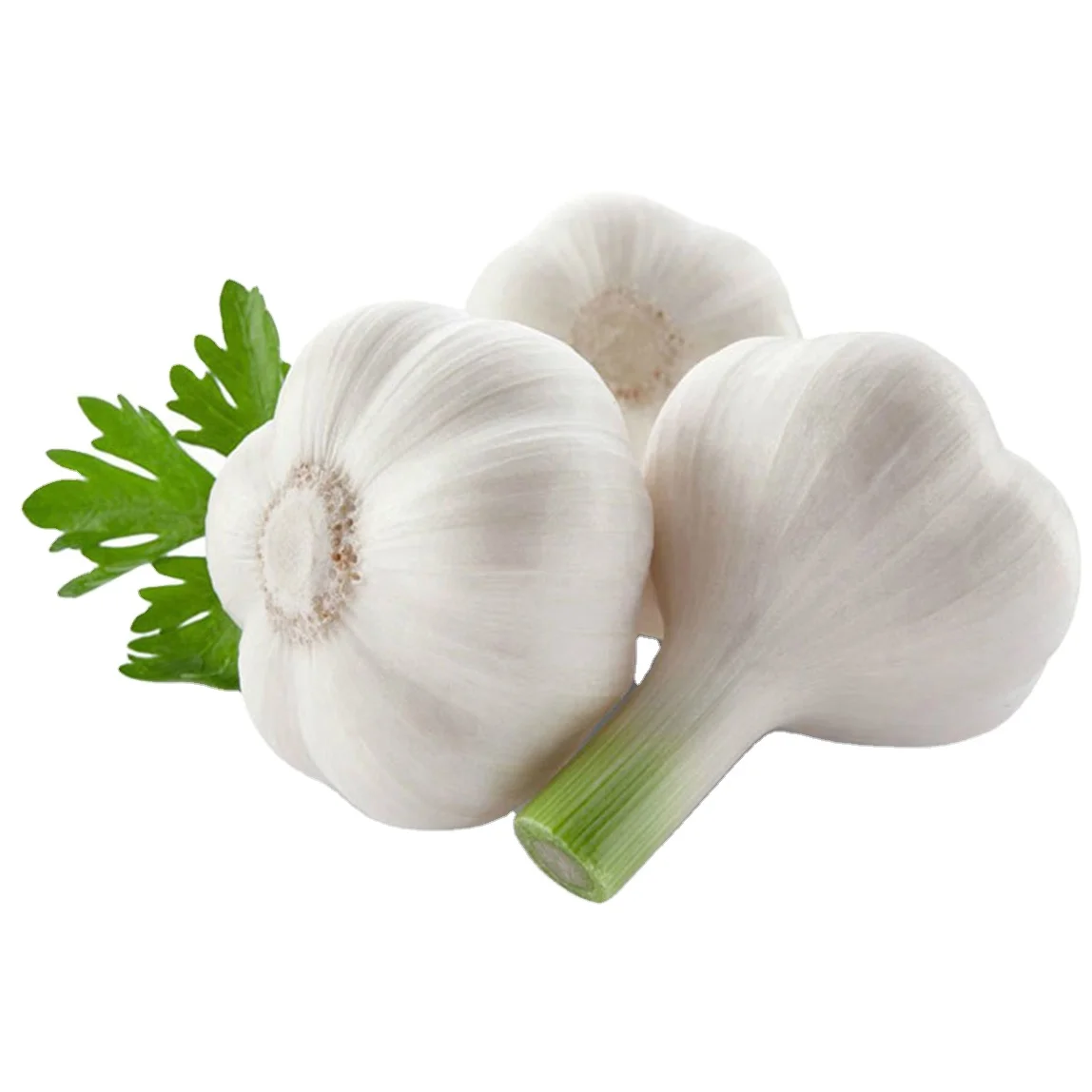 Factory price market selling wholesale garlic dried 3p mesh bag box 10kg pure white normal white fresh garlic export to india