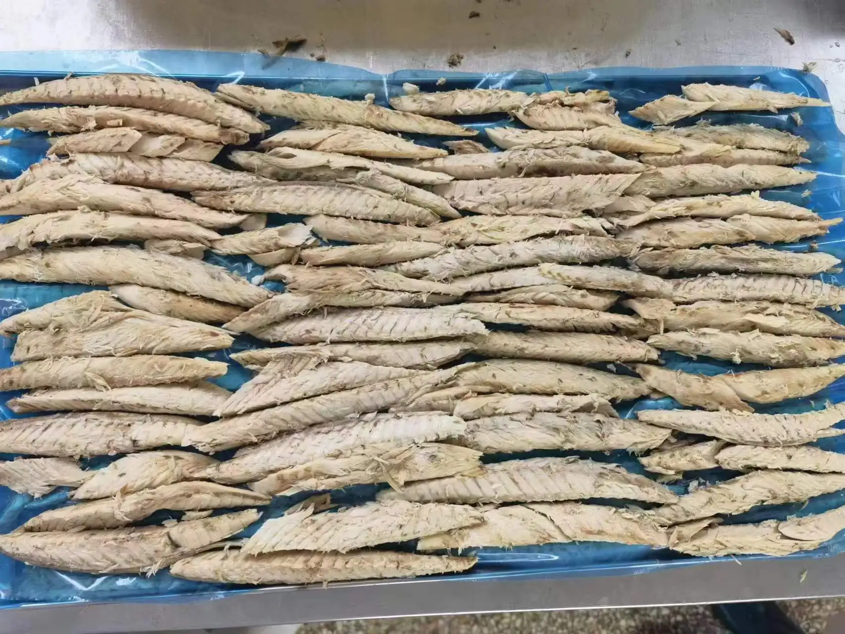 New Processing High Quality Good Price Frozen Precooked Pacific Mackerel Loin, Skipjack Tuna loin, Yellowfin Tuna loin