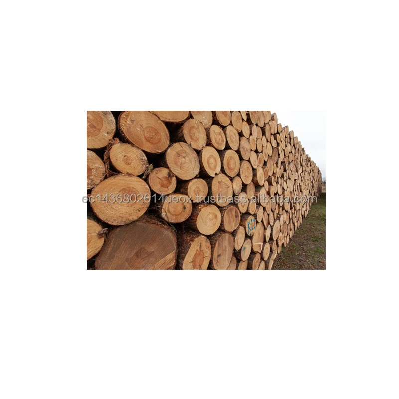 Экологически чистый высококачественный держатель для камина, изготовление бревен, оптовая продажа, изготовление бревен на заказ