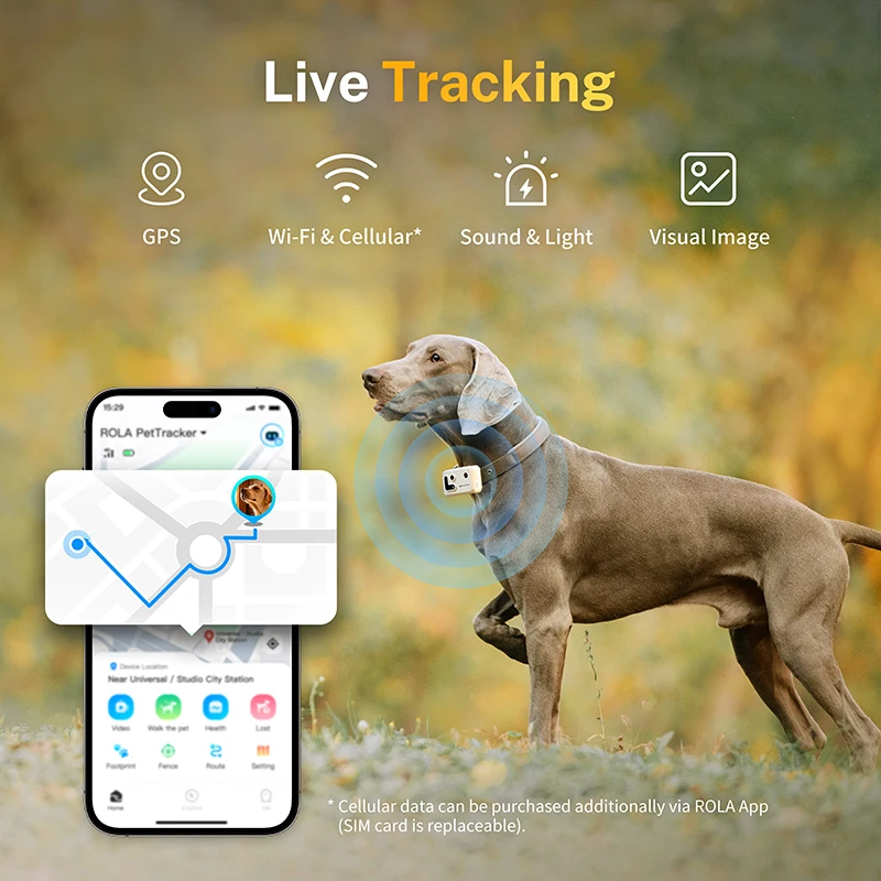 Pet Hd Magnetic Motion Camera Recorder Outdoor Real Time Tracker Video Dog Collar Anti-Lost GPS Ultra long battery