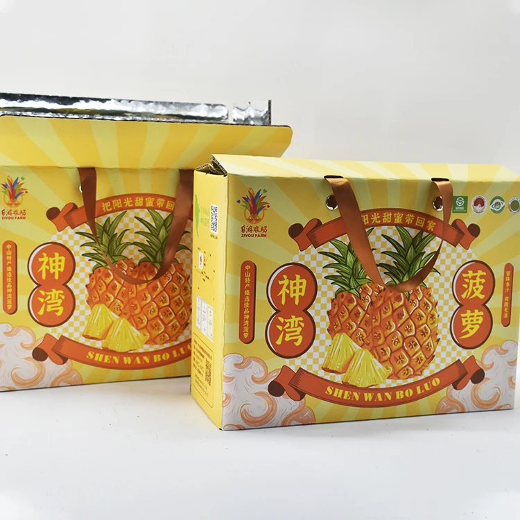 Wholesales 72 Hours Insulated Cooler Frozen Food Fruit Shipping Packaging Boxes Kraft Paper Corrugated Box Rigid Boxes Accept
