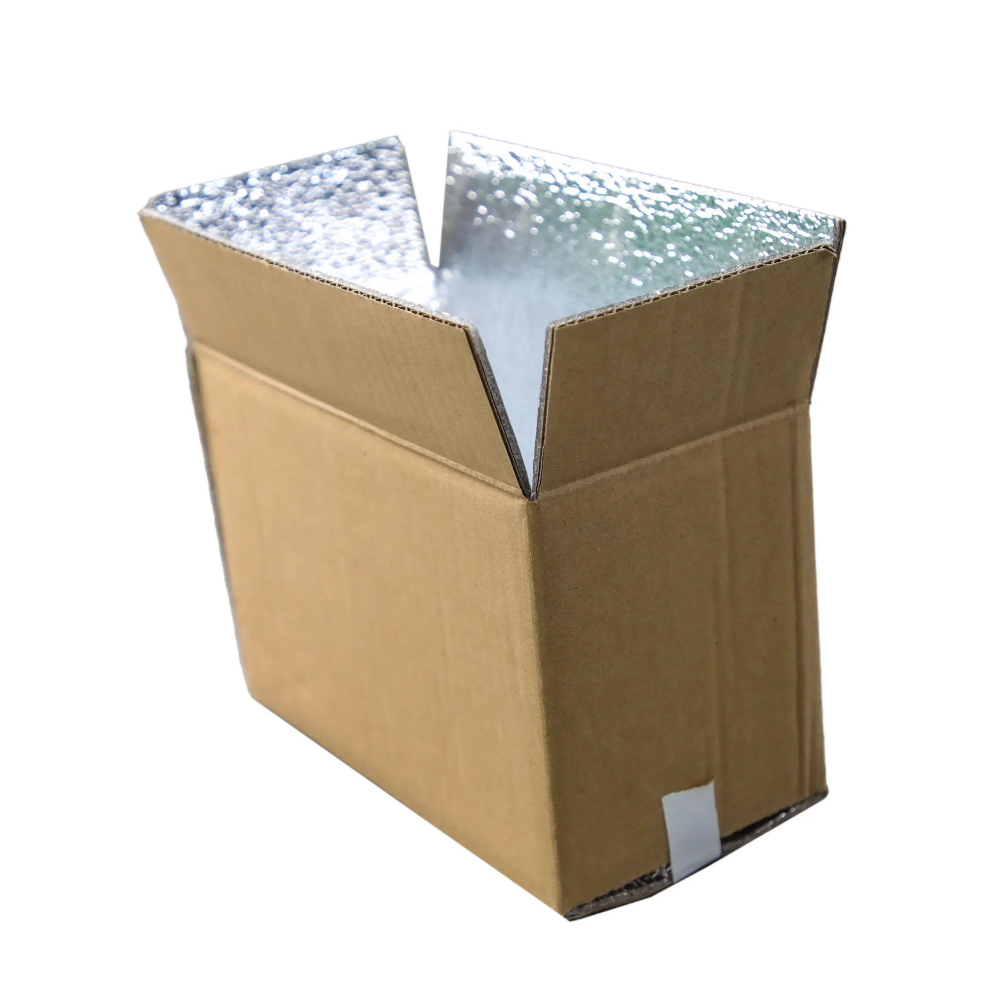 Free Design Custom Thermal Insulated Frozen Meal Package Seafood Fish Shipping Cartons