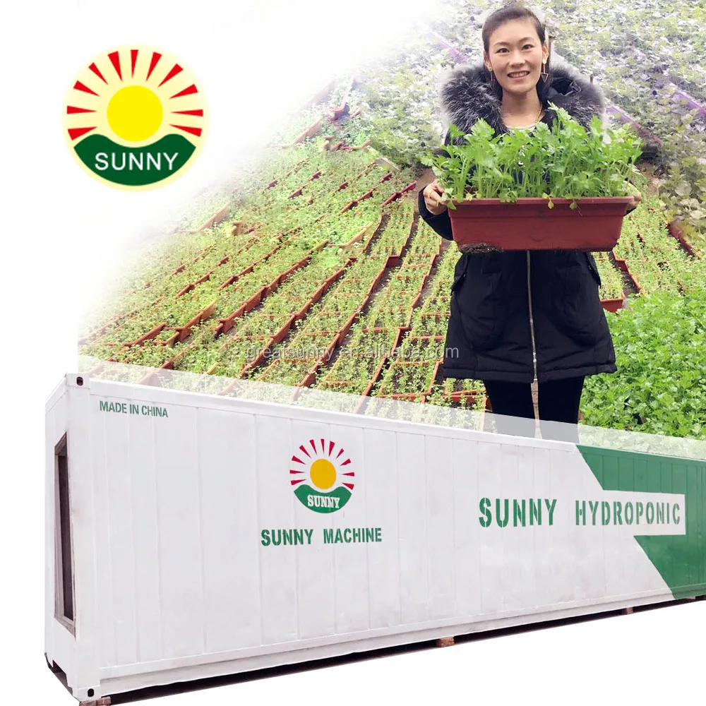 
high-tech fully automatic hydroponic fodder systems/for grass seeds sprouting/for stock feeding 