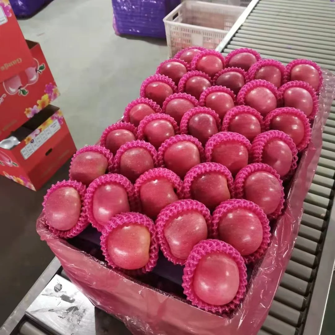 Китайское яблоко FUJI класса А