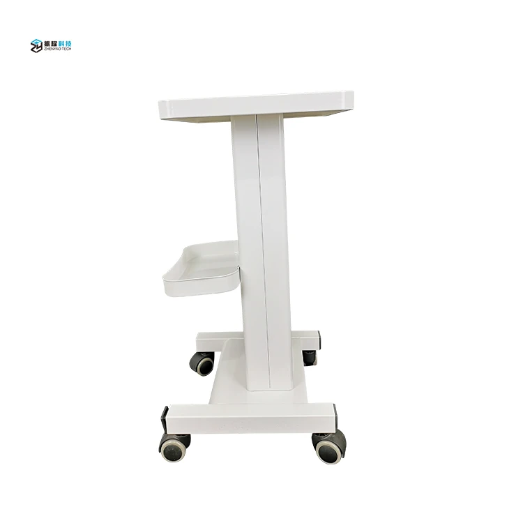 High Quality Beauty Salon Trolleys With Two Levels Of Storage Racks