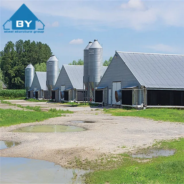 Сборная стальная куриная ферма, яйца, куриный домик