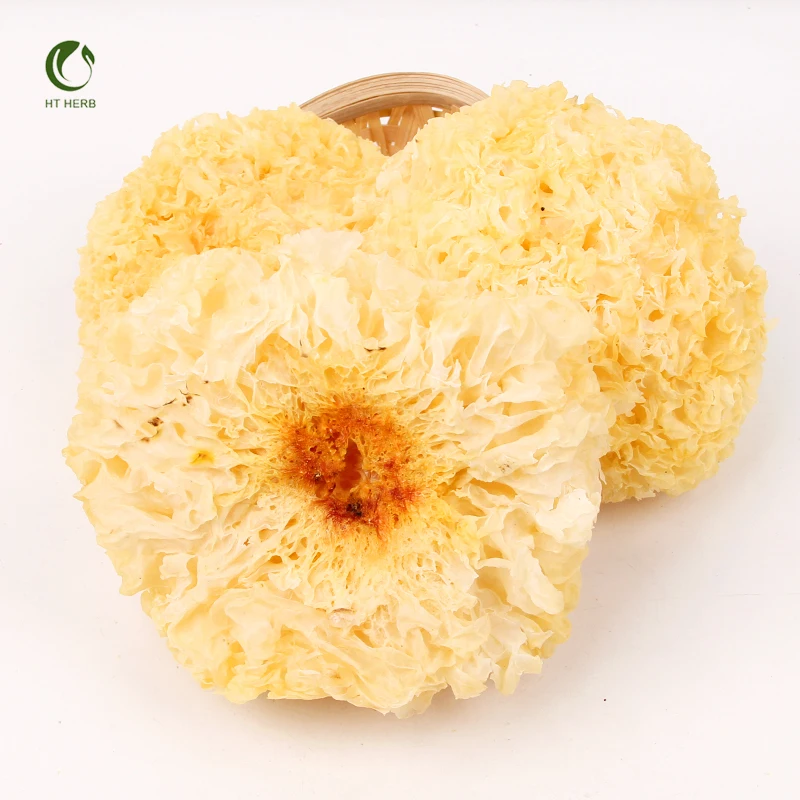Wholesale Snow Fungus Tremella Mushrooms Dried Tremella Snow Fungus