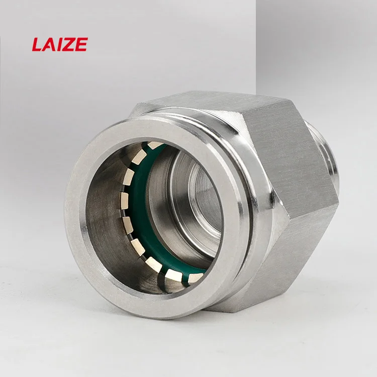 Laize 304 Stainless Steel Male Thread Push In air connectors hose quick fitting pneumatic for Air Water Gas and Oil
