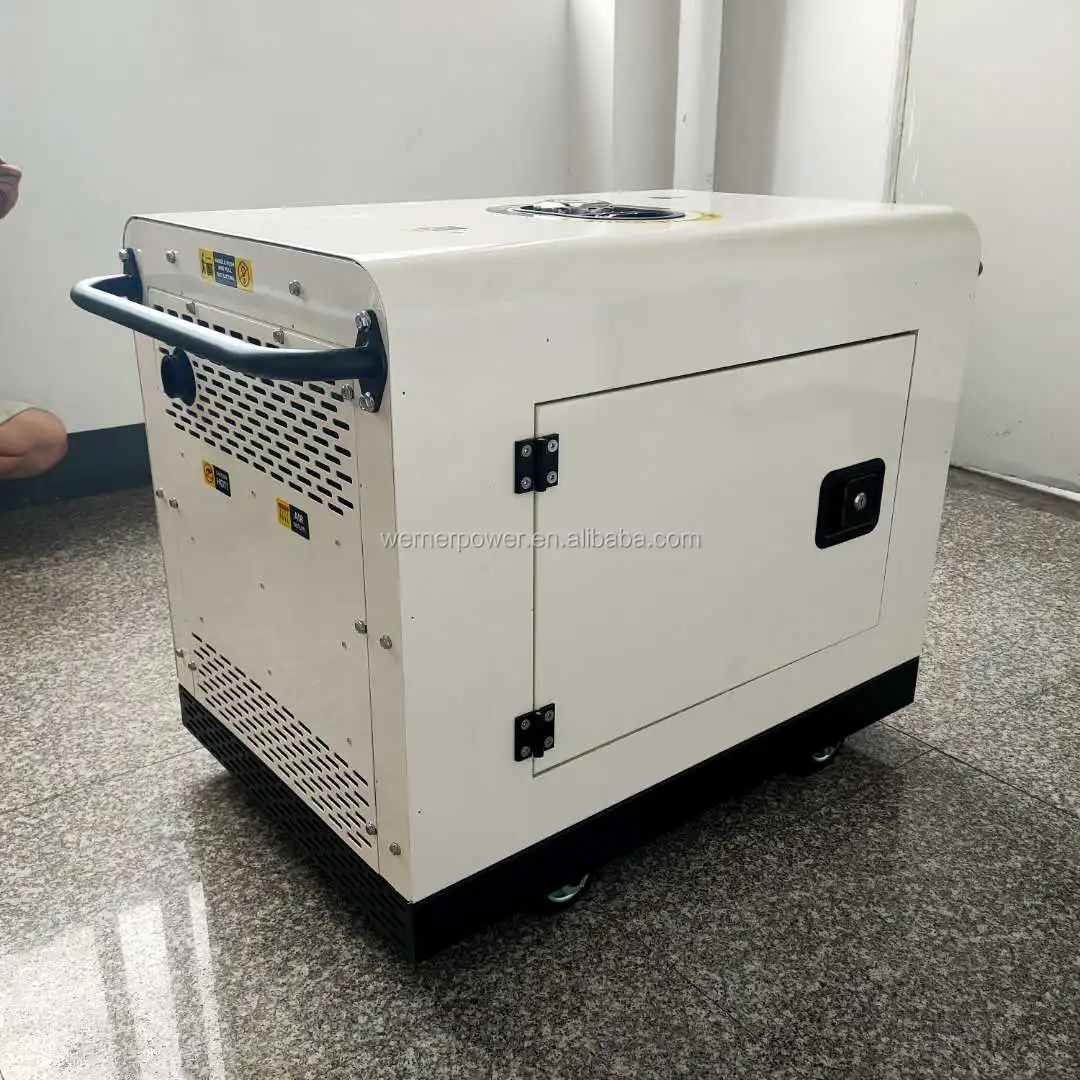 High Efficiency Electric Generator Inverter
