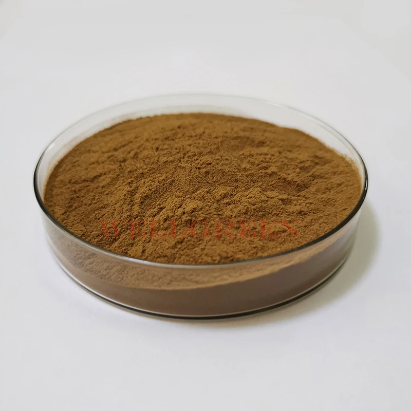 
Honeysuckle Flower Extract/Lonicera Japonica Extract/Flos Lonicerae extract 