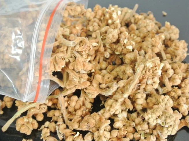 Wholesale Dried Loquat Flower Tea Treatment of Cough Moisten the Lungs