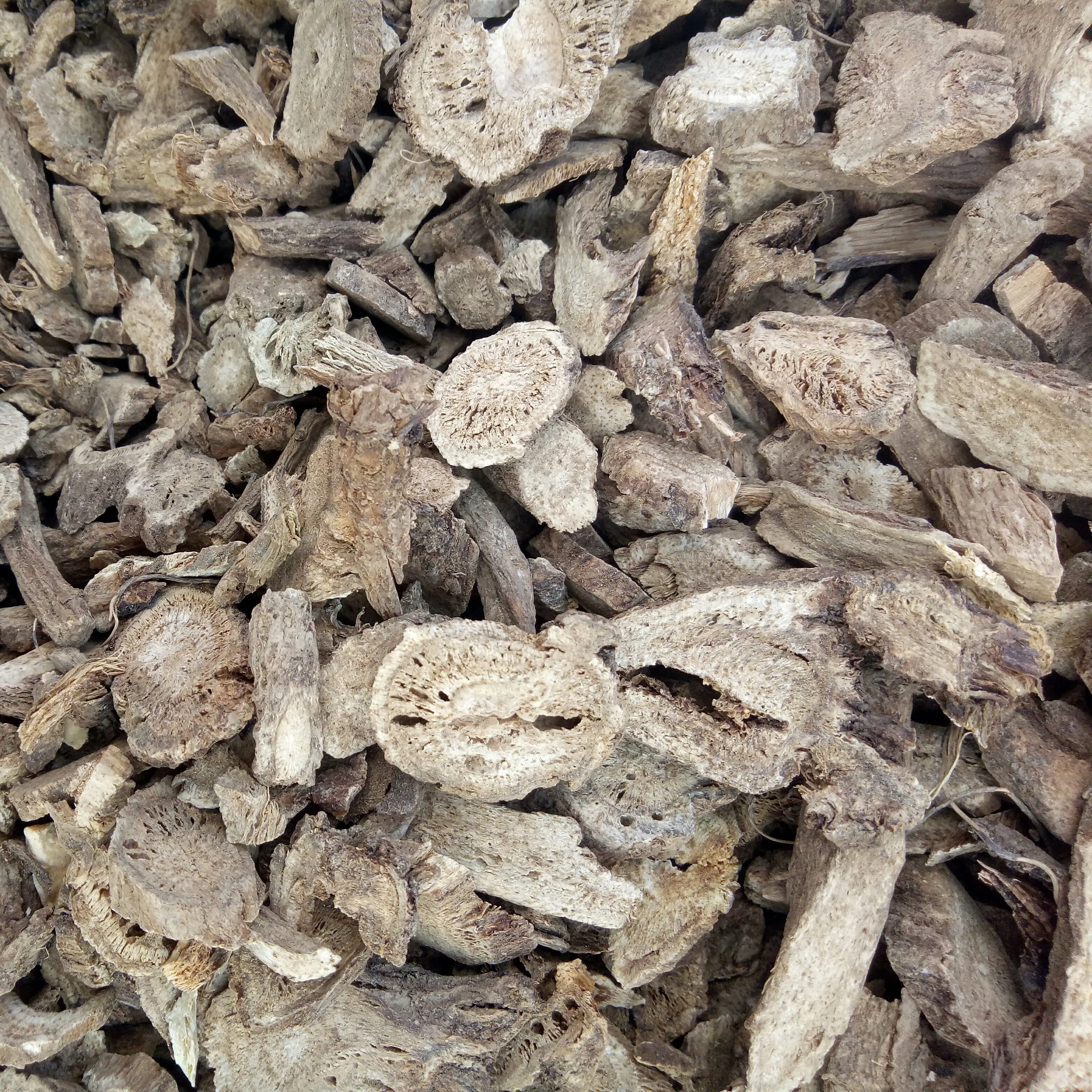 Muxiang Buy natural new crops saussurea costus root