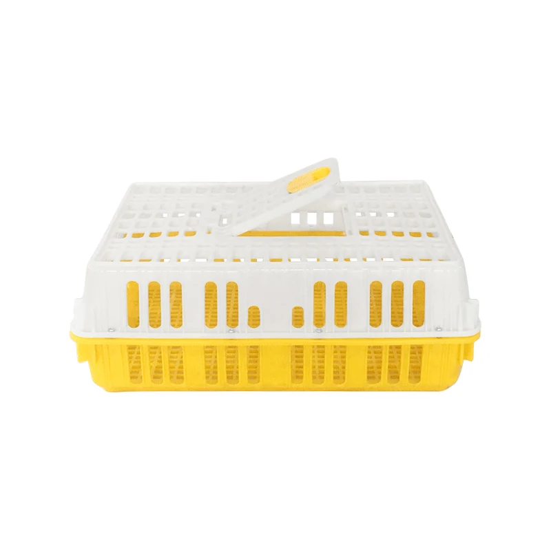 Farm Use Equipment Chicken Transport Cage Chick Turnover Box Poultry Plastic Transport Crate for Duck Pigeon