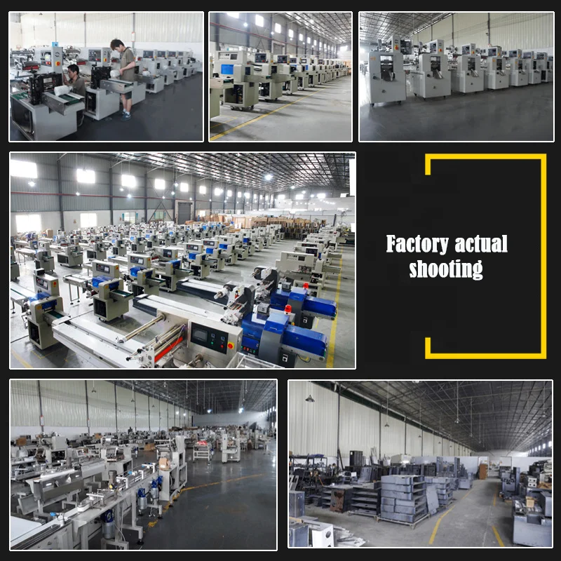 UPK-250BDSF Pillow packaging machine stainless steel material multifunctional packaging machine