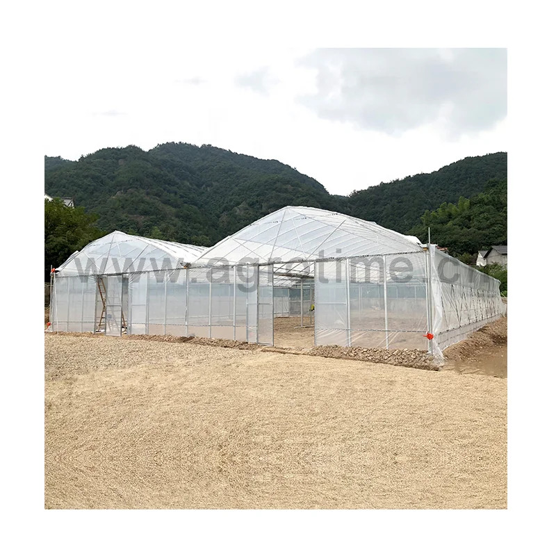 Chinese hot sale agricultural skeleton stable structure type greenhouse for flower and plant cultivation