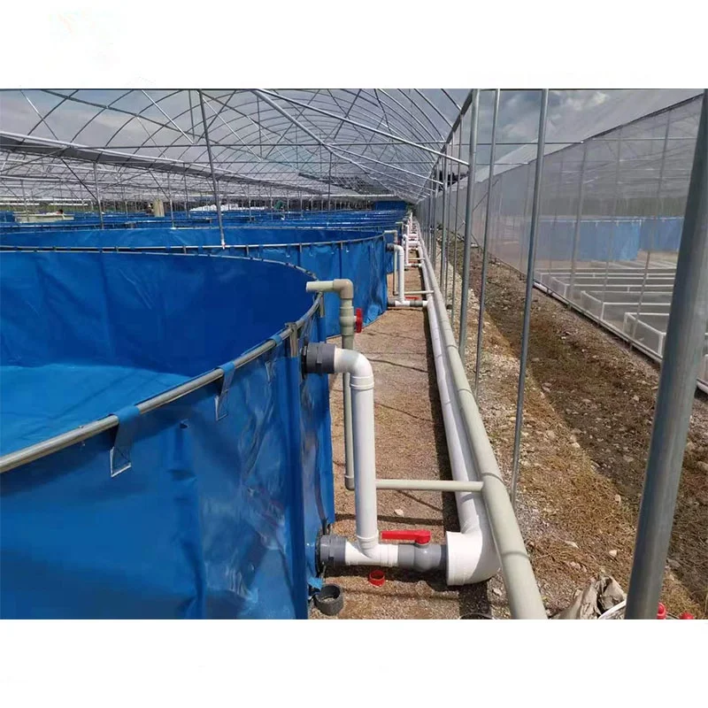 Indoor RAS system with Fish Pond Integration Recirculating Aquaculture System for Sale Fish Farming Equipments  Fish Pond