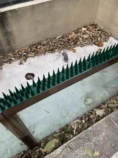 New Fence Wall Anti Climb Plastic Cat Bird Deterrent Spikes