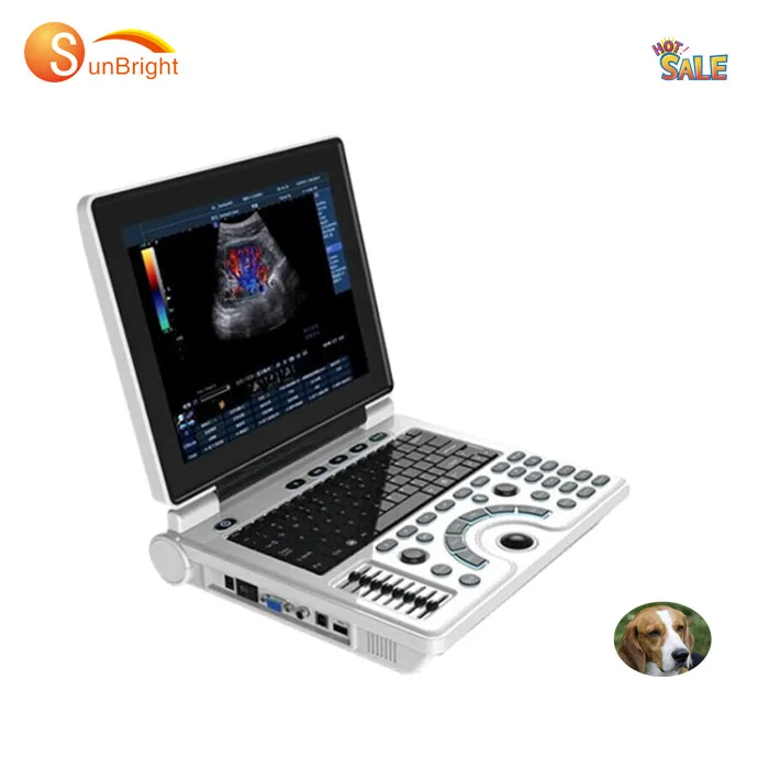 Cheap Medical veterinary ultrasound portable with two sensor sockets