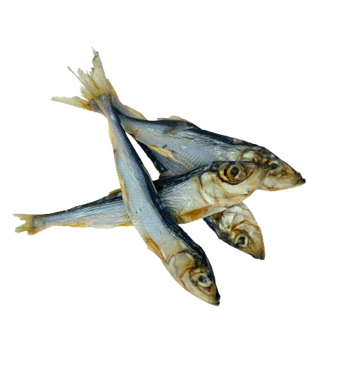 High-quality and discount price dried herring dried herring with firm meat and delicious taste dried fish