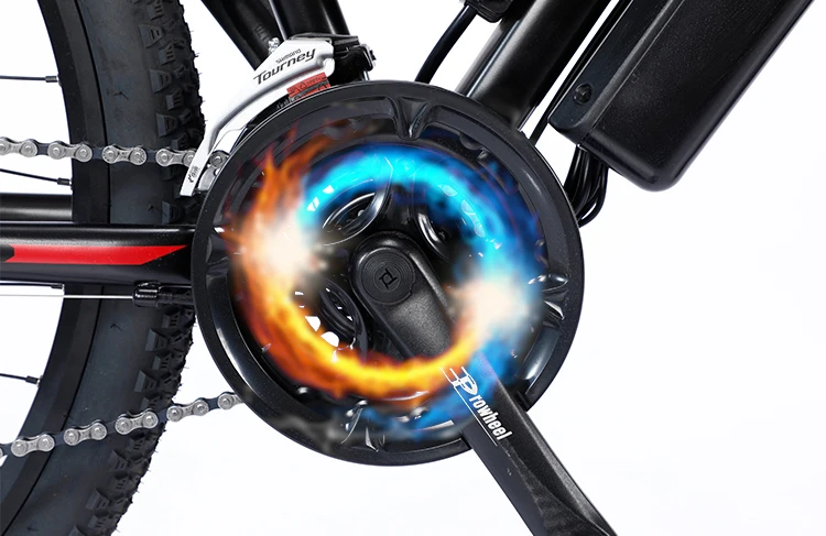 hot sale 4.0 fat tire large wheel 29 inch 48v 1000w beach electric e bike