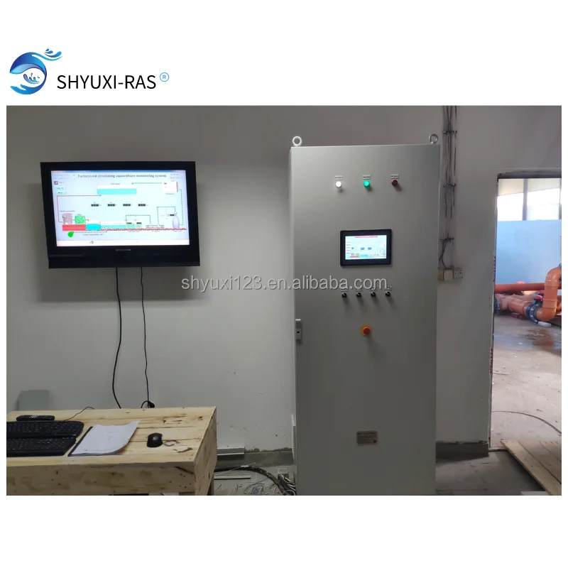 500 Square Meters Factory Circulating Water Aquatic Breeding System for RAS equipment