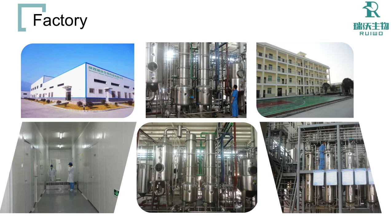 Factory Supply Best price Healthcare supplement Saw Palmeto Extract