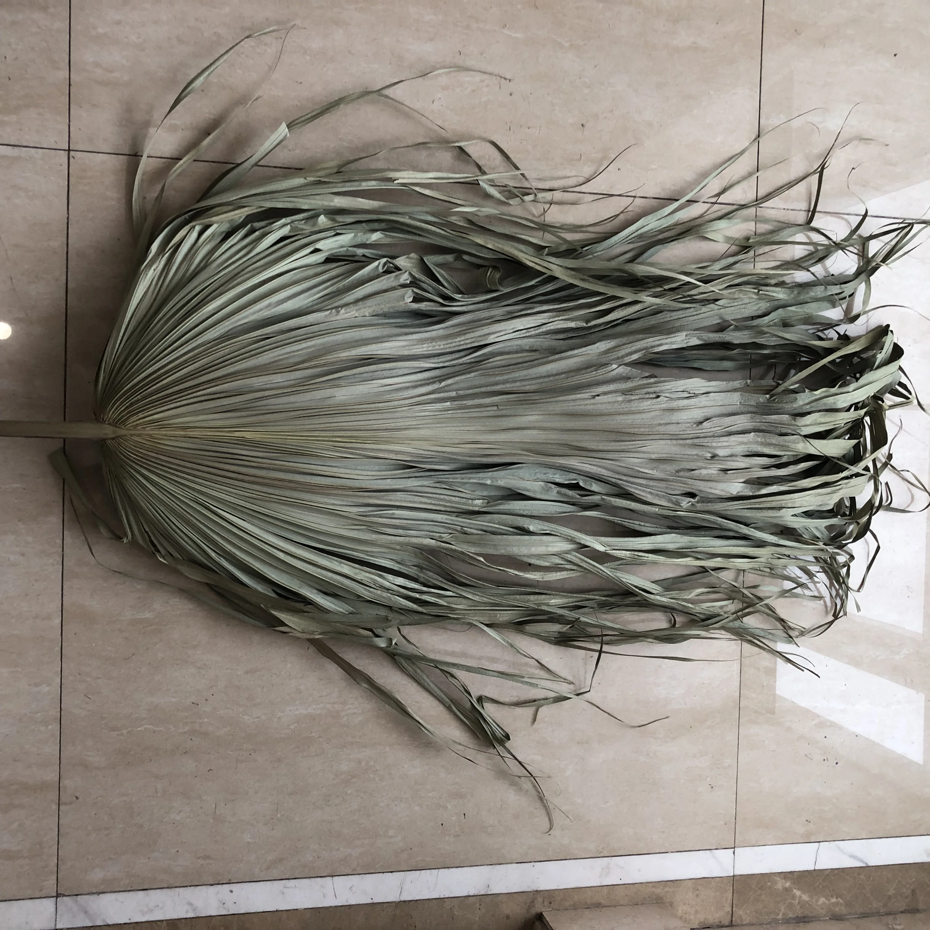 YAYUN W-3020 Wholesale Party Home Decoration Dried Palm Tree Leaves Spear