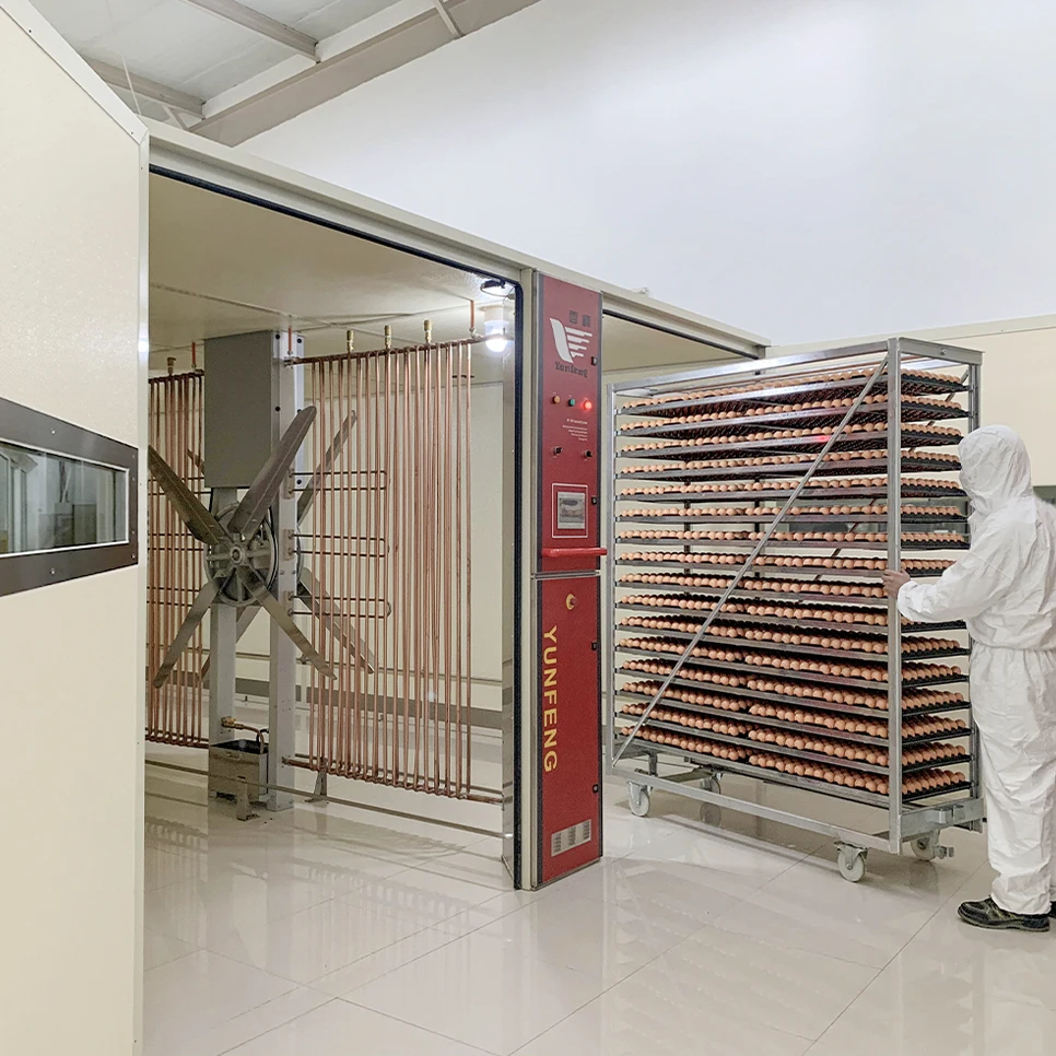 YFDF-1152SL автоматический одноэтапный инкубатор для яиц птицы 115200 шт. новое состояние лоток 220 В вентилятор куриного гуся ферма Турция