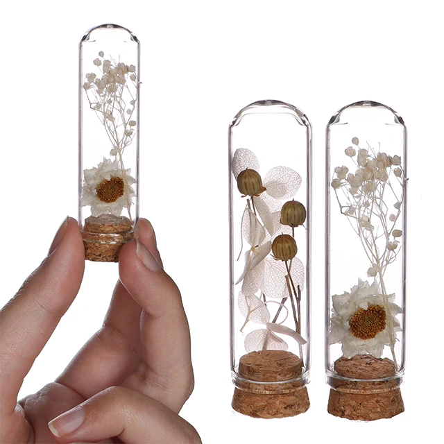 Home Decor Mini Transparent Glass Dome with Dremini with Dried Flowers 2 assorti in multiple colours for Wholesale