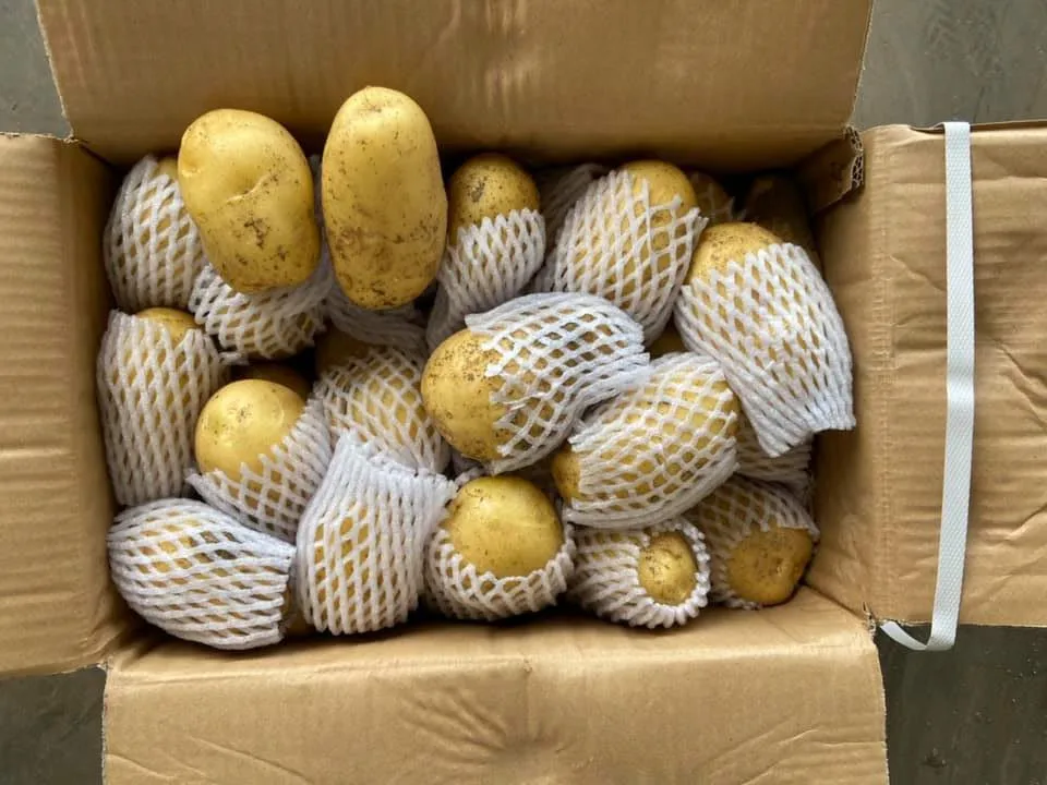 chinese  Mesh Bag Potatoes Fresh Potatoes Style Organic Weight Origin Type Shape Size Product Place Model  Round Maturity
