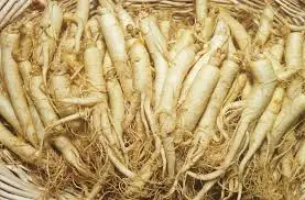 Fruiterco Ginseng Root Powder Ginseng Extract Powder