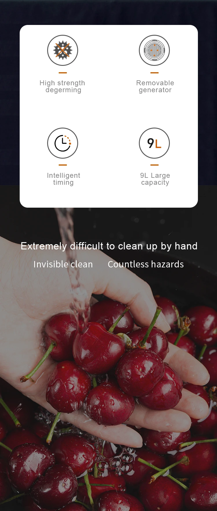 vegetable cleaner (2)