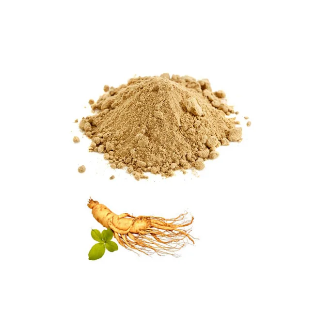 Sale Ginseng Extract Powder 5% 25% 50%  Ginsenosides in bulk