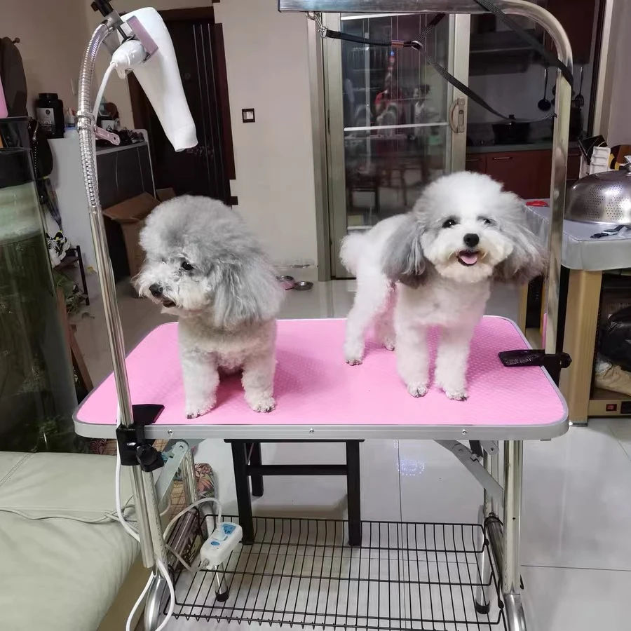 Indoor  foldable pet grooming table with arm grooming table for pets