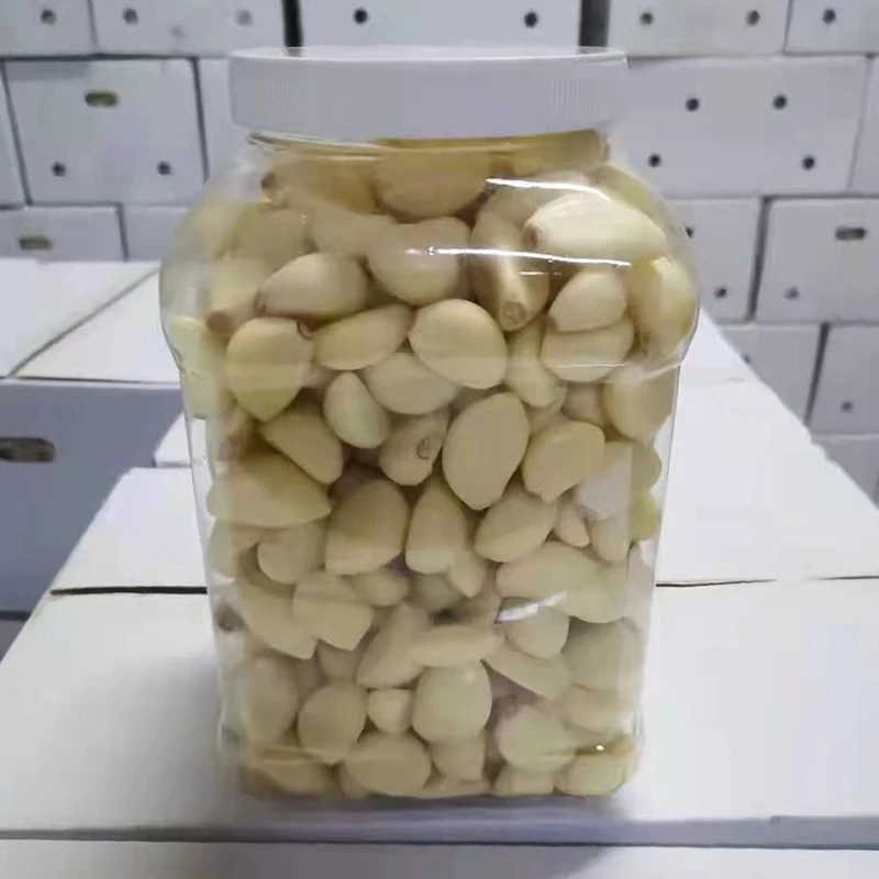 Good Quality Frozen Peeled Garlic Sales In French