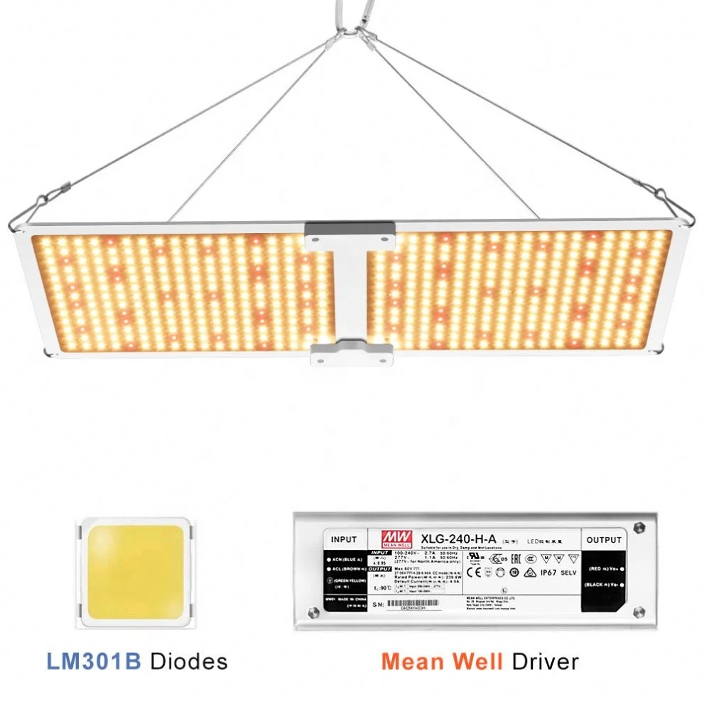
240 Watt Best 4000K 3500K Daisy Chain Uv Ir Far Red Dimmable for Indoor Lights for Sale Full Spectrum Grow Light Led 