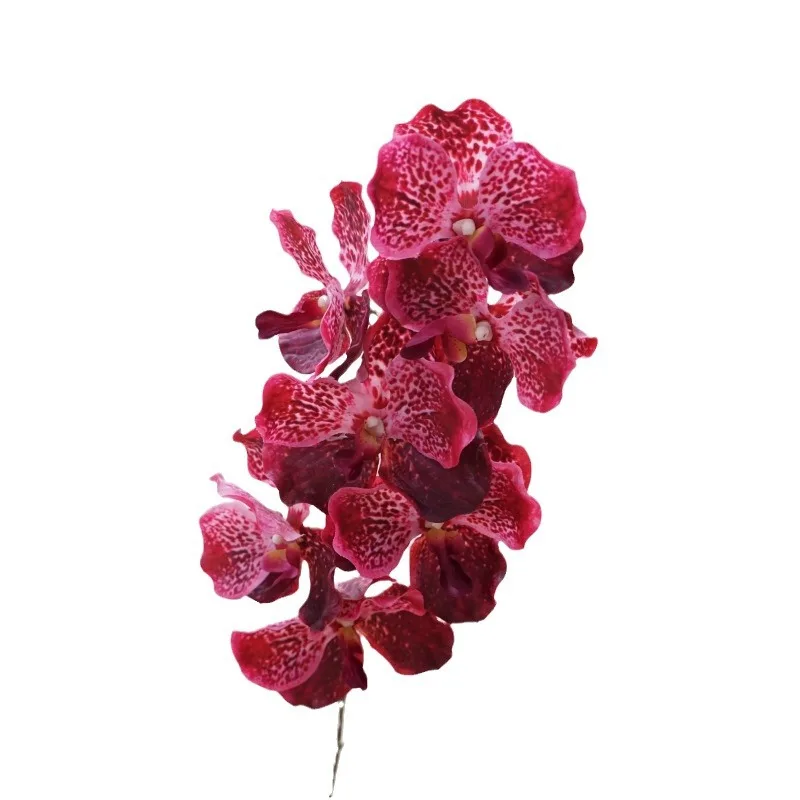 79 см искусственный латекс зеленый Ванда Орхидея цветы высокого качества искусственная Орхидея 7 голов