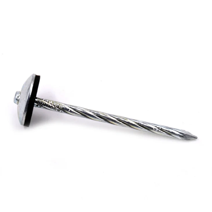 Factory Outlet Umbrella Head Galvanized Roof Nail Smooth or Twisted Handle